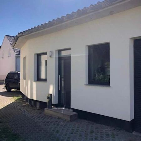 רוסטוק Ferienwohnung Zwergmoewe מראה חיצוני תמונה