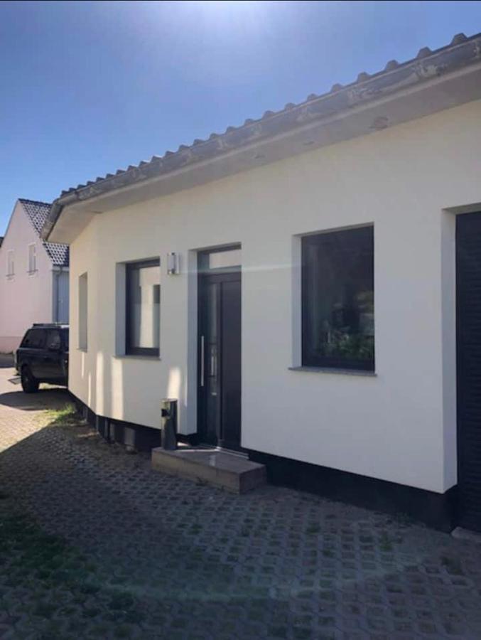 רוסטוק Ferienwohnung Zwergmoewe מראה חיצוני תמונה
